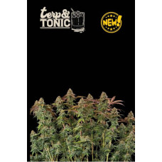 Terp And Tonic Auto